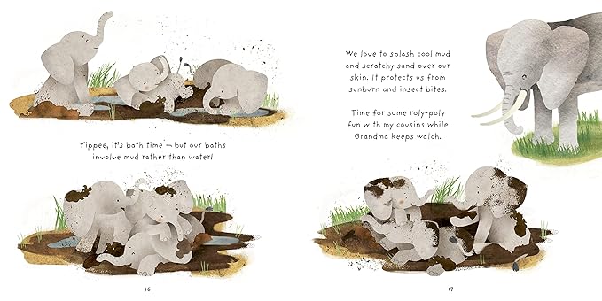 Little Elephant - Really Wild Families