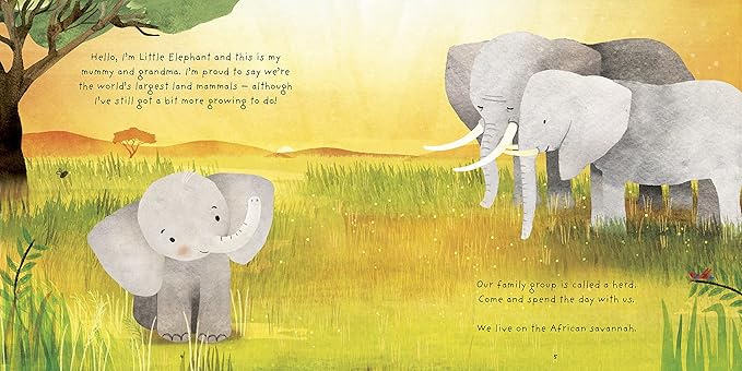 Little Elephant - Really Wild Families