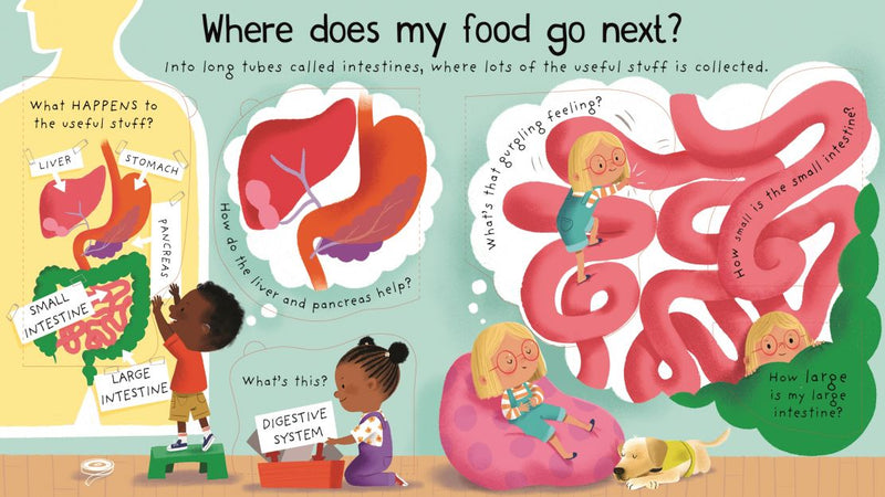 Where Does My Food Go? Lift - the - flap First Questions and Answers